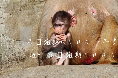 花唄逾期1000一年多久能開(kāi)通-花唄逾期1000天不還款有什么后果_