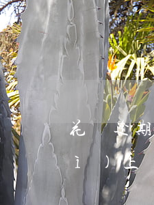 花唄逾期1000會(huì)不會(huì)上門(mén)調(diào)查-花唄逾期了1000多會(huì)給家里打電話嗎
