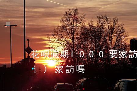 花唄逾期1000要家訪(花唄真的會(huì)家訪嗎)