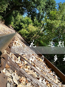 花唄逾期100元后果 支付寶花唄逾期了100多天