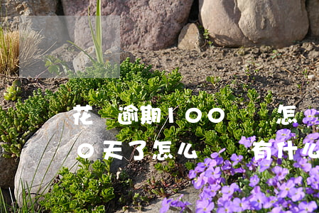 花唄逾期100塊會怎樣(花唄逾期超過100天了怎么辦,會有什么影響么)