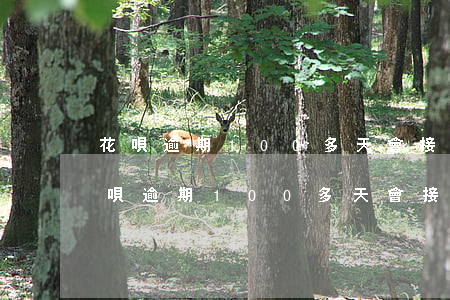 花唄逾期100多天會接到法律傳票么-花唄逾期100多天會接到法律傳票么?