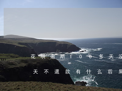花唄逾期100多天沒還(花唄逾期1000天不還款有什么后果_)