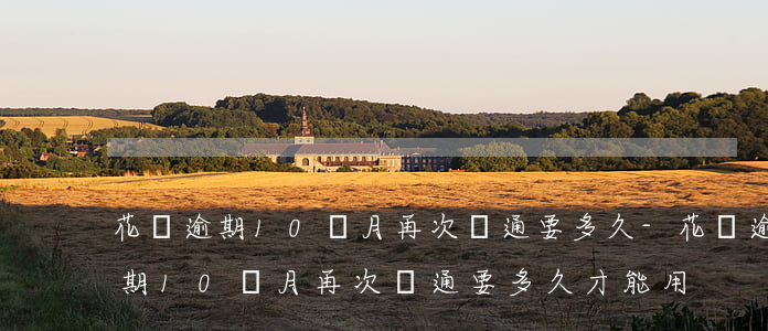 花唄逾期10個月再次開通要多久-花唄逾期10個月再次開通要多久才能用