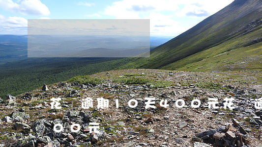 花唄逾期10天400元(花唄逾期10天400元)