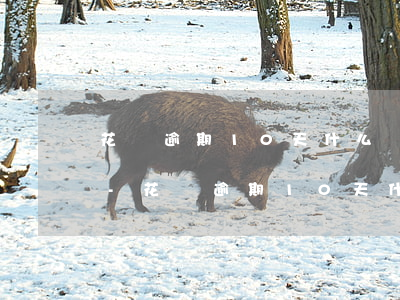 花唄逾期10天什么時(shí)候可以用-花唄逾期10天什么時(shí)候可以用啊