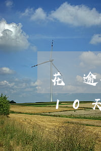 花唄逾期10天凍結(jié)了(花唄逾期10天凍結(jié)了,多長時(shí)間能正常使用)