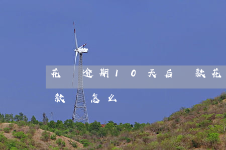 花唄逾期10天后還款(花唄逾期10天后還款會怎么樣)