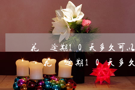 花唄逾期10天多久可以恢復(fù)使用-花唄逾期10天多久可以恢復(fù)使用額度