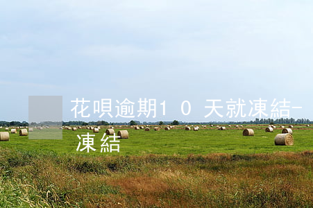 花唄逾期10天就凍結-花唄逾期10天就凍結