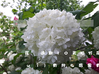 花唄逾期10天扣分(花唄逾期10天會(huì)有什么后果?,有獎(jiǎng)問(wèn)答)
