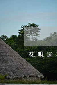 花唄逾期10天掉芝麻分