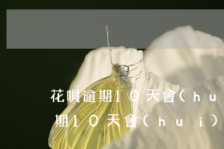 花唄逾期10天會(huì)起訴嗎(花唄逾期10天會(huì)起訴嗎)