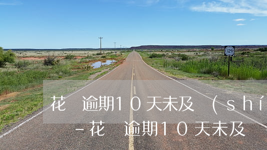 花唄逾期10天未及時(shí)還款怎么辦-花唄逾期10天未及時(shí)還款怎么辦呢