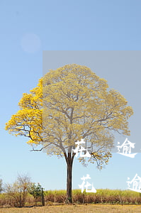 花唄逾期10天還了之后還了影響征信嗎-花唄逾期10天還了之后還了影響征信嗎