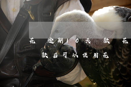 花唄逾期10天還款嗎(花唄還款逾期10天,還款后可以使用花唄嗎)