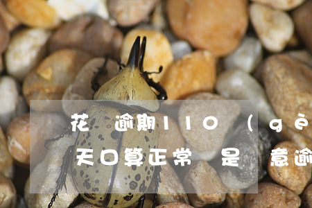 花唄逾期110個(gè)月(花唄逾期十多天口算正常還是惡意逾期)