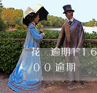 花唄逾期1160元的后果(支付寶花唄2500逾期)