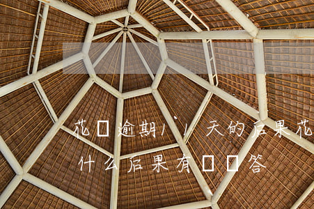花唄逾期11天的后果(花唄逾期10天會有什么后果?,有獎問答)