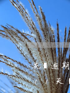 花唄逾期11天還上還可以用嗎-花唄逾期11天還上還可以用嗎怎么辦