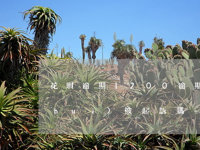 花唄逾期1200逾期5個(gè)月會(huì)被起訴嗎-花唄逾期1200逾期5個(gè)月會(huì)被起訴嗎知乎