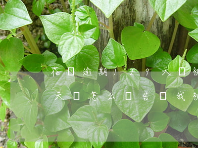 花唄逾期129天會被起訴嗎(花唄逾期75天會怎么樣告訴我被起訴了)