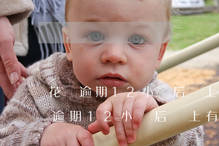 花唄逾期12小時后還上有什么影響-花唄逾期12小時后還上有什么影響嗎