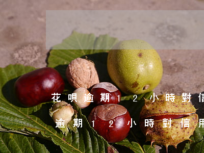 花唄逾期12小時對信用有什么影響-花唄逾期12小時對信用有什么影響嗎