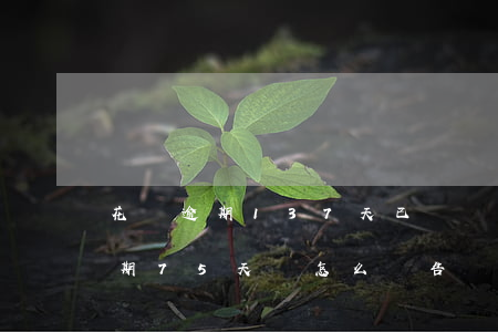 花唄逾期137天已凍結(jié)(花唄逾期75天會怎么樣告訴我被起訴了)