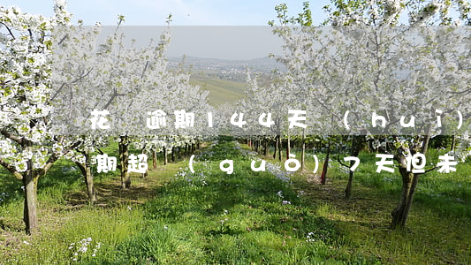 花唄逾期144天會(huì)怎樣(花唄逾期超過(guò)7天但未達(dá)到30天會(huì)怎樣)