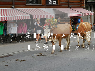 花唄逾期14天怎么辦(花唄逾期14天交清過后能繼續(xù)使用嗎?)