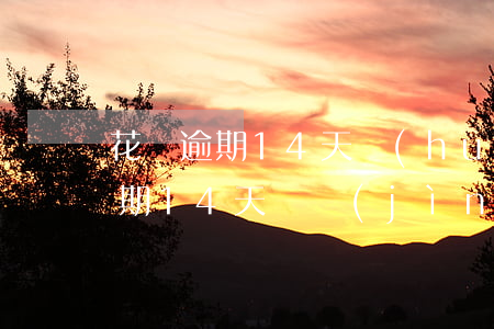 花唄逾期14天會(huì)怎么樣(花唄逾期14天 還進(jìn)去 什么時(shí)候可以用)