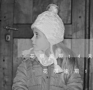 花唄逾期14天還款怎么恢復(fù)花唄-花唄逾期14天還款怎么恢復(fù)花唄額度