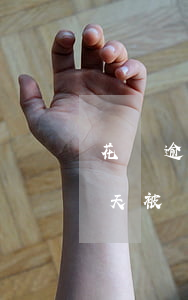 花唄逾期1500停了(花唄逾期了100多天被暫停使用要多久才能恢復)