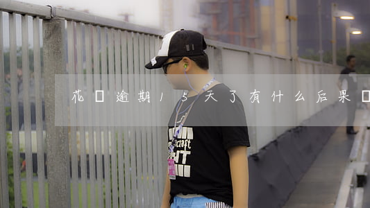 花唄逾期15天了有什么后果嗎-