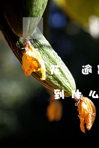 花唄逾期15天怎么辦(花唄逾期16天要等到什么時候才可以繼續(xù)用)
