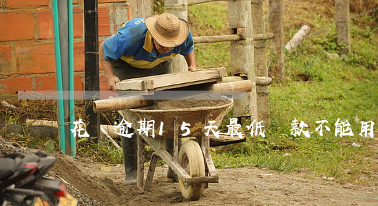 花唄逾期15天最低還款不能用-