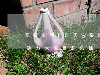 花唄逾期15天會影響(花唄逾期多少天會起訴五天還會怎么樣)