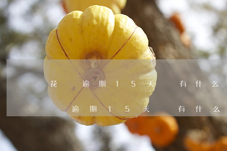 花唄逾期15天會有什么后果?有獎問答-花唄逾期15天會有什么后果?,有獎問答