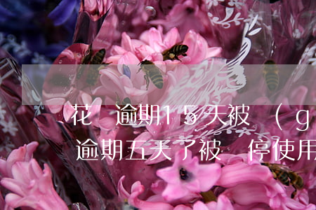 花唄逾期15天被關(guān)閉嗎(花唄逾期五天了被暫停使用要多久才能恢復(fù))