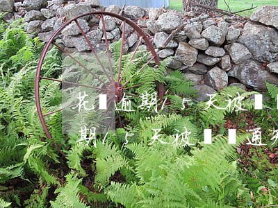 花唄逾期15天被電話通知還全款-花唄逾期15天被電話通知還全款怎么辦