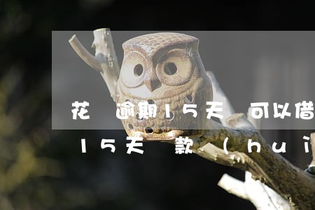 花唄逾期15天還可以借嗎(支付寶借唄逾期15天還款會(huì)有什么后果)