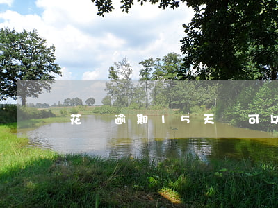 花唄逾期15天還可以立馬借嗎-