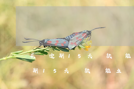 花唄逾期15天還款還能立馬借嗎-花唄逾期15天還款還能立馬借嗎怎么辦