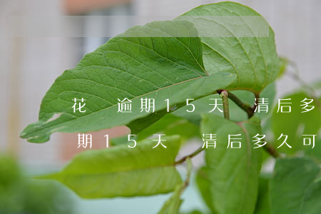 花唄逾期15天還清后多久可以用-花唄逾期15天還清后多久可以用啊