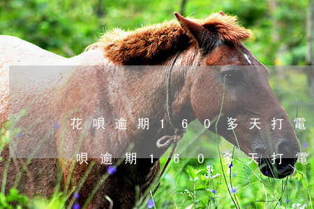 花唄逾期160多天打電話催還有事嗎-花唄逾期160多天打電話催還有事嗎怎么辦