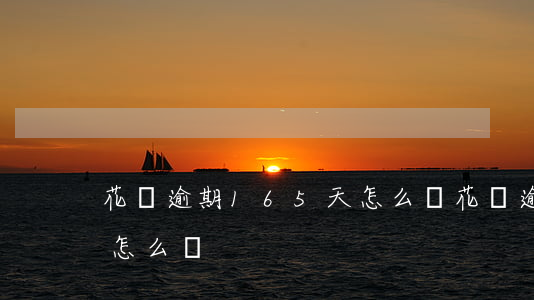 花唄逾期165天怎么辦(花唄逾期165天怎么辦)