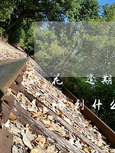 花唄逾期16天會怎么樣(花唄逾期16天要等到什么時候才可以繼續(xù)用)
