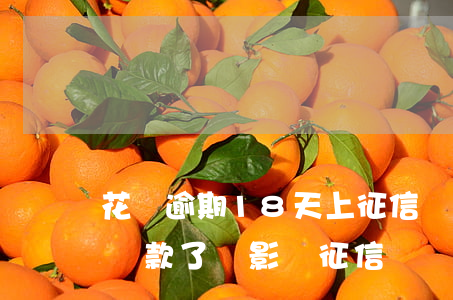 花唄逾期18天上征信嗎(花唄逾期二十幾天還款了會影響征信嗎)