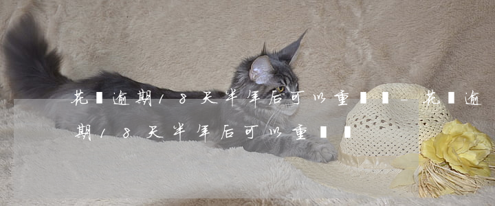 花唄逾期18天半年后可以重開嗎-花唄逾期18天半年后可以重開嗎